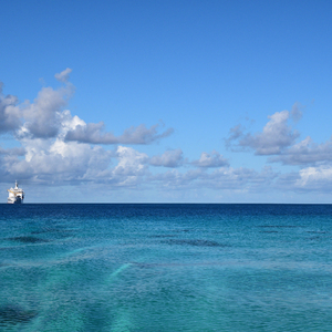 96久久精品无码一区二区天美
